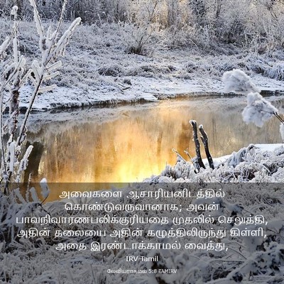 Picture 03 - லேவியராகமம் 5:8 TAMIRV - அவைகளை - Bible Verse Picture