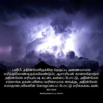 Picture 03 - லேவியராகமம் 6:12 TAMIRV -  - Bible Verse Picture