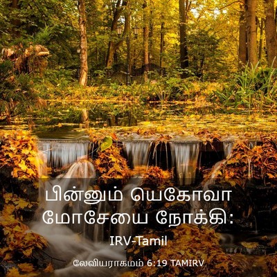 Picture 03 - லேவியராகமம் 6:19 TAMIRV - பின்னும் யெகோவா - Bible Verse Picture
