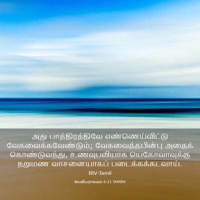 Picture 03 - லேவியராகமம் 6:21 TAMIRV - அது பாத்திரத்திலே - Bible Verse Picture
