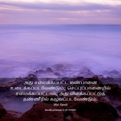 Picture 03 - லேவியராகமம் 6:28 TAMIRV - அது சமைக்கப்பட்ட - Bible Verse Picture