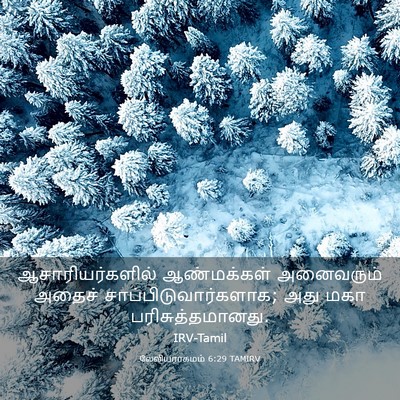 Picture 03 - லேவியராகமம் 6:29 TAMIRV - ஆசாரியர்களில் - Bible Verse Picture