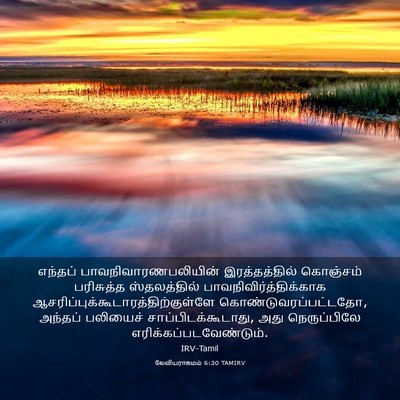 Picture 03 - லேவியராகமம் 6:30 TAMIRV - எந்தப் - Bible Verse Picture