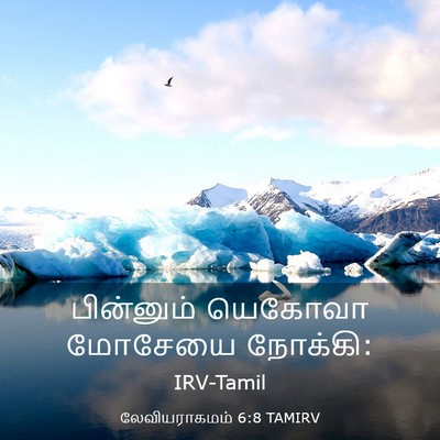 Picture 03 - லேவியராகமம் 6:8 TAMIRV - பின்னும் யெகோவா - Bible Verse Picture