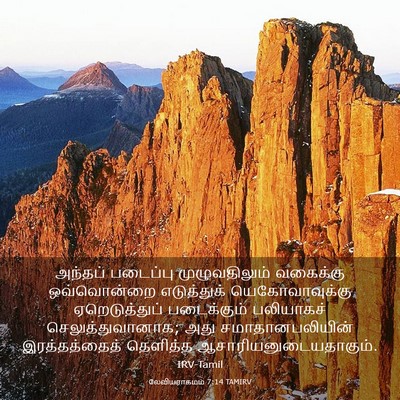 Picture 03 - லேவியராகமம் 7:14 TAMIRV - அந்தப் படைப்பு - Bible Verse Picture