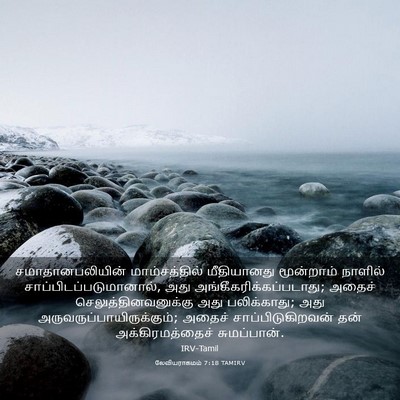 Picture 03 - லேவியராகமம் 7:18 TAMIRV - சமாதானபலியின் - Bible Verse Picture