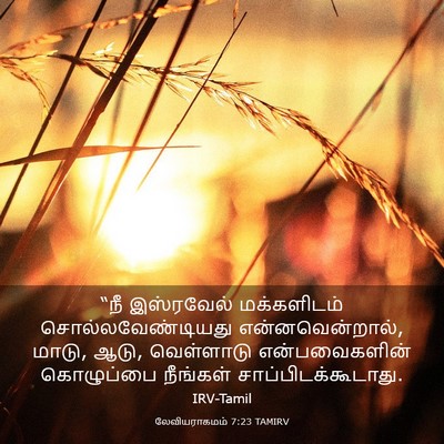 Picture 03 - லேவியராகமம் 7:23 TAMIRV - “நீ இஸ்ரவேல் - Bible Verse Picture