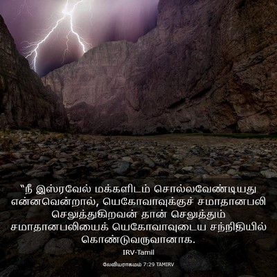 Picture 03 - லேவியராகமம் 7:29 TAMIRV - “நீ இஸ்ரவேல் - Bible Verse Picture