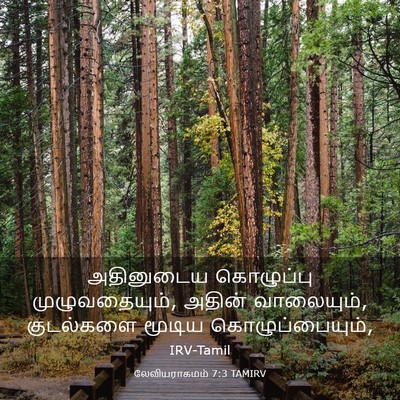 Picture 03 - லேவியராகமம் 7:3 TAMIRV - அதினுடைய கொழுப்பு - Bible Verse Picture