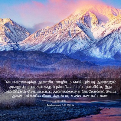 Picture 03 - லேவியராகமம் 7:35 TAMIRV - “யெகோவாவுக்கு - Bible Verse Picture