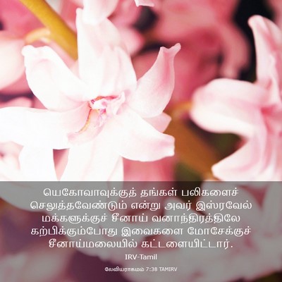 Picture 03 - லேவியராகமம் 7:38 TAMIRV - யெகோவாவுக்குத் - Bible Verse Picture