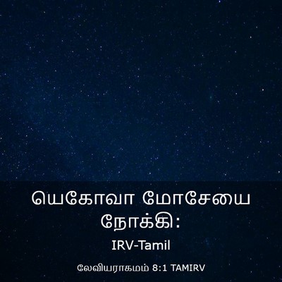 Picture 03 - லேவியராகமம் 8:1 TAMIRV - யெகோவா மோசேயை - Bible Verse Picture
