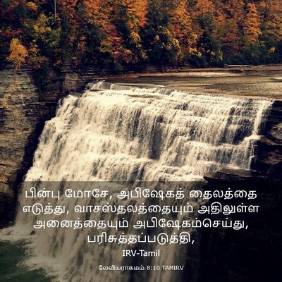 Picture 03 - லேவியராகமம் 8:10 TAMIRV - பின்பு மோசே, - Bible Verse Picture