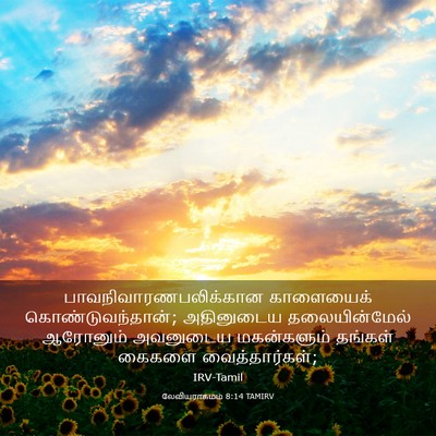 Picture 03 - லேவியராகமம் 8:14 TAMIRV -  - Bible Verse Picture