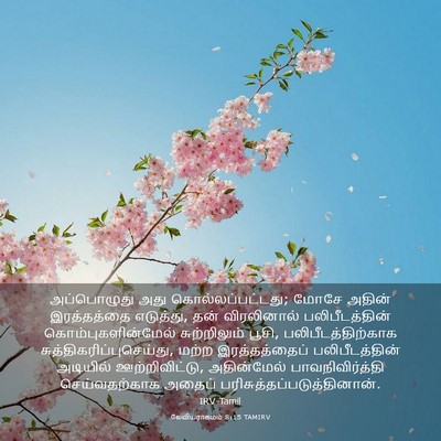 Picture 03 - லேவியராகமம் 8:15 TAMIRV - அப்பொழுது அது - Bible Verse Picture