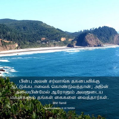 Picture 03 - லேவியராகமம் 8:18 TAMIRV - பின்பு அவன் - Bible Verse Picture