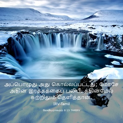 Picture 03 - லேவியராகமம் 8:19 TAMIRV - அப்பொழுது அது - Bible Verse Picture