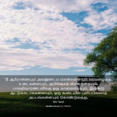 Picture 03 - லேவியராகமம் 8:2 TAMIRV - “நீ ஆரோனையும் - Bible Verse Picture