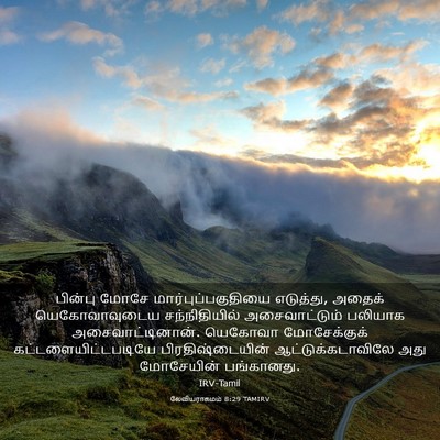 Picture 03 - லேவியராகமம் 8:29 TAMIRV - பின்பு மோசே - Bible Verse Picture