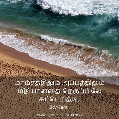 Picture 03 - லேவியராகமம் 8:32 TAMIRV - மாம்சத்திலும் - Bible Verse Picture