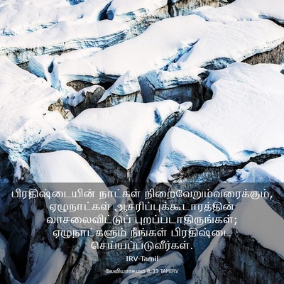 Picture 03 - லேவியராகமம் 8:33 TAMIRV - பிரதிஷ்டையின் - Bible Verse Picture