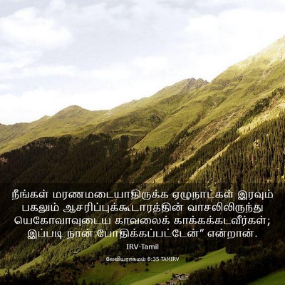 Picture 03 - லேவியராகமம் 8:35 TAMIRV - நீங்கள் - Bible Verse Picture