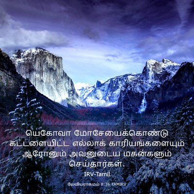 Picture 03 - லேவியராகமம் 8:36 TAMIRV - யெகோவா - Bible Verse Picture