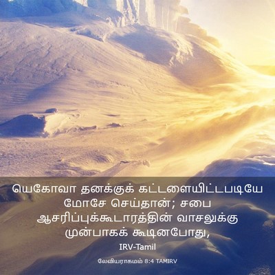 Picture 03 - லேவியராகமம் 8:4 TAMIRV - யெகோவா தனக்குக் - Bible Verse Picture