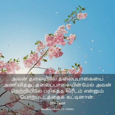 Picture 03 - லேவியராகமம் 8:9 TAMIRV - அவன் தலையிலே - Bible Verse Picture