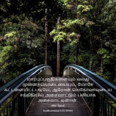 Picture 03 - லேவியராகமம் 9:21 TAMIRV -  - Bible Verse Picture