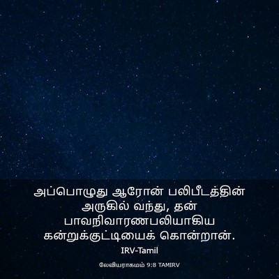 Picture 03 - லேவியராகமம் 9:8 TAMIRV - அப்பொழுது ஆரோன் - Bible Verse Picture