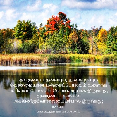Picture 03 - வெளிப்படுத்தின விசேஷம் 1:14 TAMIRV - அவருடைய தலையும், - Bible Verse Picture