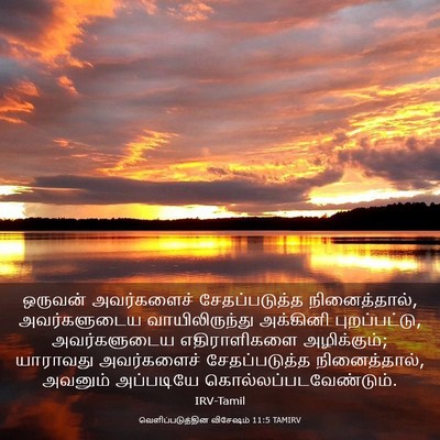Picture 03 - வெளிப்படுத்தின விசேஷம் 11:5 TAMIRV - ஒருவன் அவர்களைச் - Bible Verse Picture