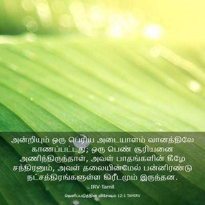 Picture 03 - வெளிப்படுத்தின விசேஷம் 12:1 TAMIRV - அன்றியும் ஒரு - Bible Verse Picture