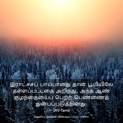 Picture 03 - வெளிப்படுத்தின விசேஷம் 12:13 TAMIRV - இராட்சசப் - Bible Verse Picture