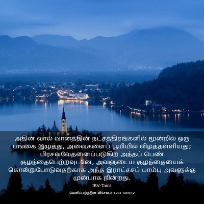 Picture 03 - வெளிப்படுத்தின விசேஷம் 12:4 TAMIRV - அதின் வால் - Bible Verse Picture