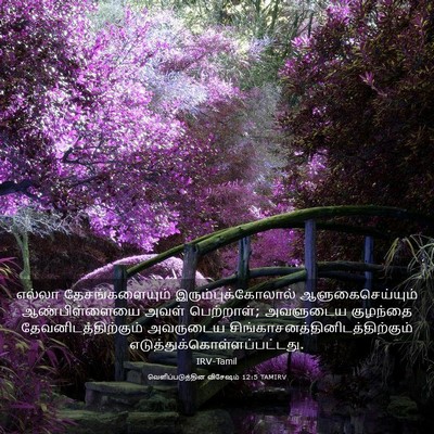 Picture 03 - வெளிப்படுத்தின விசேஷம் 12:5 TAMIRV - எல்லா - Bible Verse Picture
