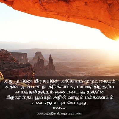 Picture 03 - வெளிப்படுத்தின விசேஷம் 13:12 TAMIRV - அது முந்தின - Bible Verse Picture