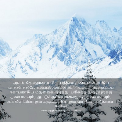 Picture 03 - வெளிப்படுத்தின விசேஷம் 14:10 TAMIRV - அவன் தேவனுடைய - Bible Verse Picture