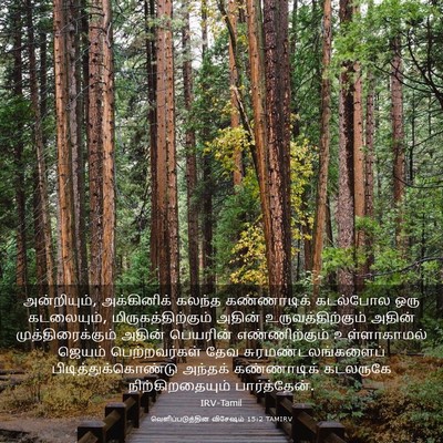 Picture 03 - வெளிப்படுத்தின விசேஷம் 15:2 TAMIRV - அன்றியும், - Bible Verse Picture