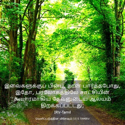 Picture 03 - வெளிப்படுத்தின விசேஷம் 15:5 TAMIRV - இவைகளுக்குப் - Bible Verse Picture