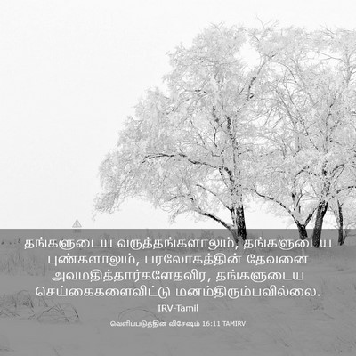 Picture 03 - வெளிப்படுத்தின விசேஷம் 16:11 TAMIRV - தங்களுடைய - Bible Verse Picture