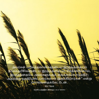 Picture 03 - வெளிப்படுத்தின விசேஷம் 16:6 TAMIRV - அவர்கள் - Bible Verse Picture