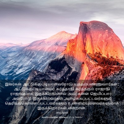 Picture 03 - வெளிப்படுத்தின விசேஷம் 17:14 TAMIRV - இவர்கள் - Bible Verse Picture