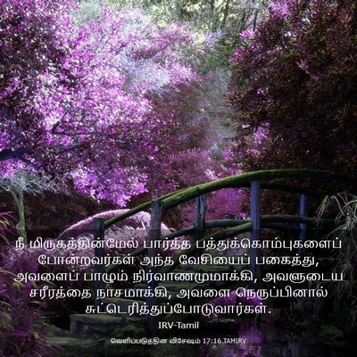 Picture 03 - வெளிப்படுத்தின விசேஷம் 17:16 TAMIRV - நீ - Bible Verse Picture