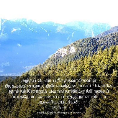 Picture 03 - வெளிப்படுத்தின விசேஷம் 17:6 TAMIRV - அந்தப் பெண் - Bible Verse Picture