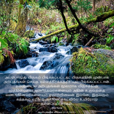 Picture 03 - வெளிப்படுத்தின விசேஷம் 19:20 TAMIRV - அப்பொழுது மிருகம் - Bible Verse Picture