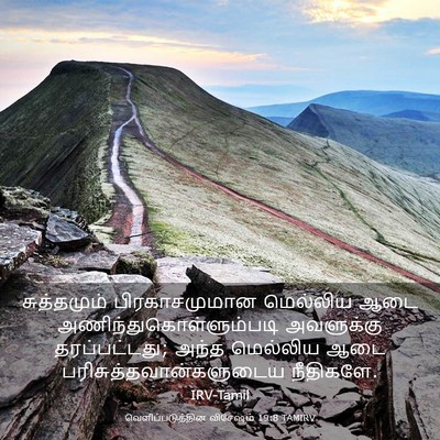 Picture 03 - வெளிப்படுத்தின விசேஷம் 19:8 TAMIRV - சுத்தமும் - Bible Verse Picture