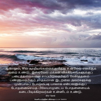 Picture 03 - வெளிப்படுத்தின விசேஷம் 2:14 TAMIRV - ஆனாலும், சில - Bible Verse Picture
