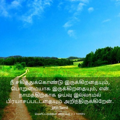 Picture 03 - வெளிப்படுத்தின விசேஷம் 2:3 TAMIRV - நீ - Bible Verse Picture